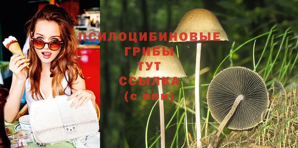 дживик Абинск
